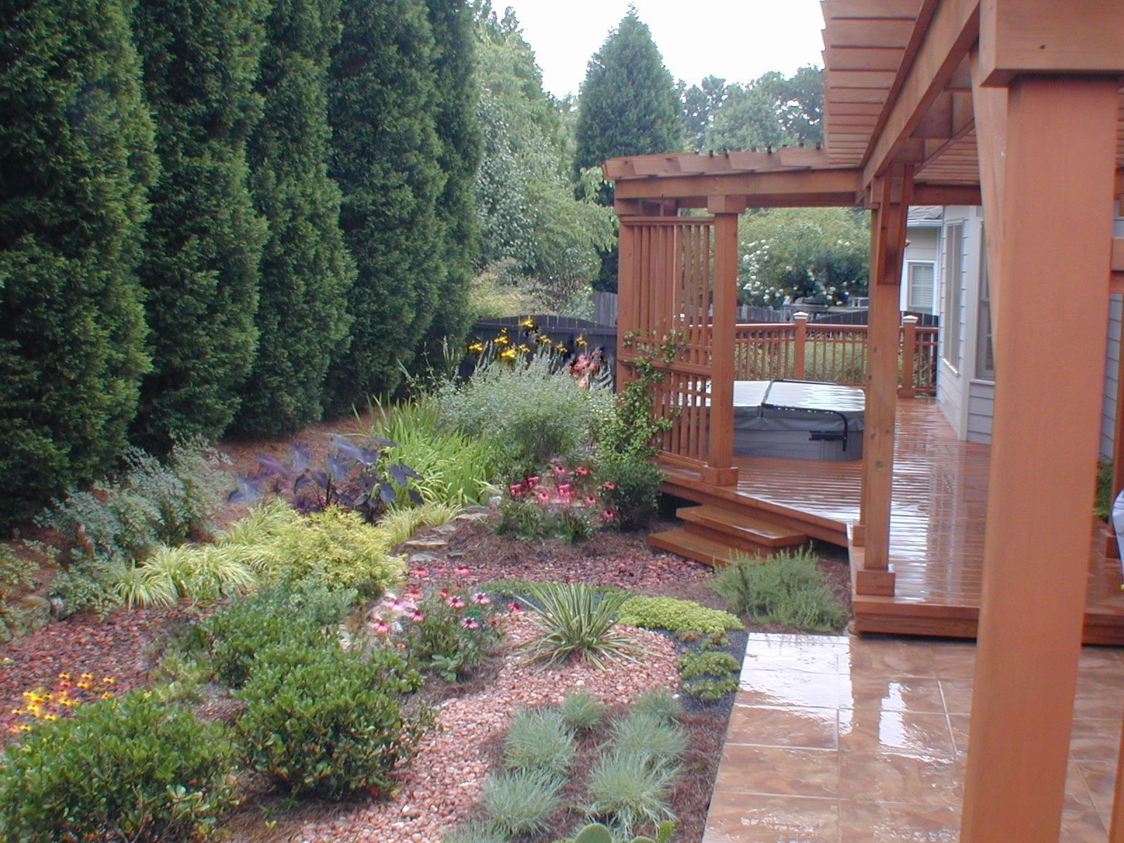 Butterfly garden rain garden 